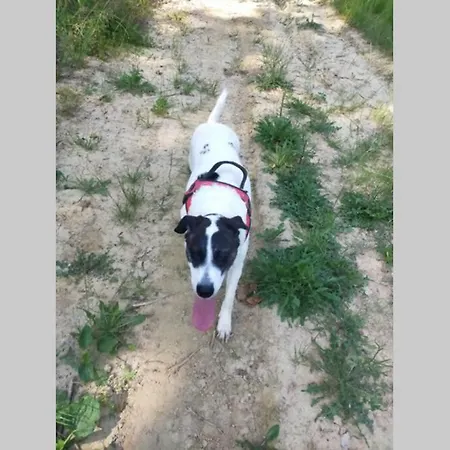 Poggio Ai Grilli * Certaldo