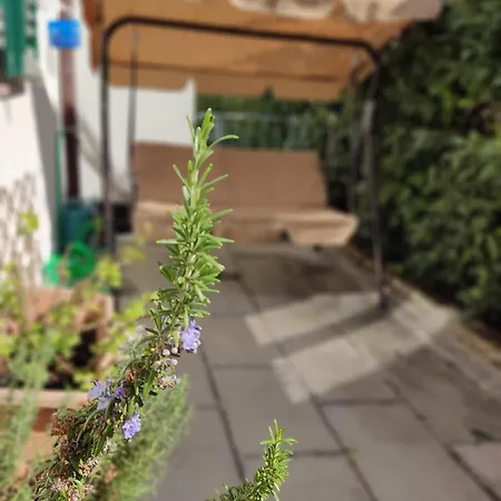 Poggio Ai Grilli Appartamento